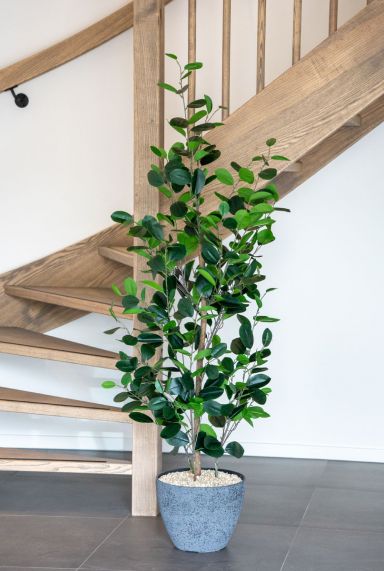 Ficus kunstplant 2