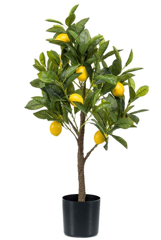 Citroenboom citrusboom kunstplant