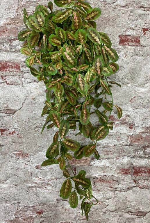 Maranta kunstplant zijdeplant