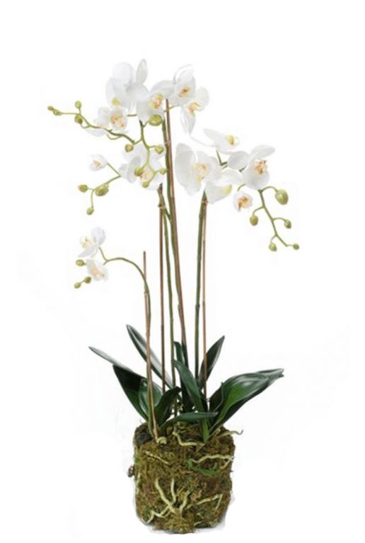 Phalaenopsis orchidee kunstbloem 1