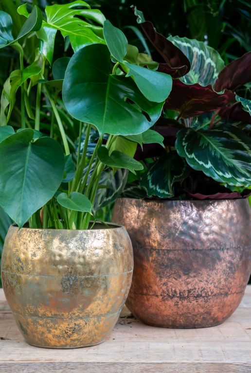 Pots-de-fleurs-en-metal-thomas-or-et-bronze