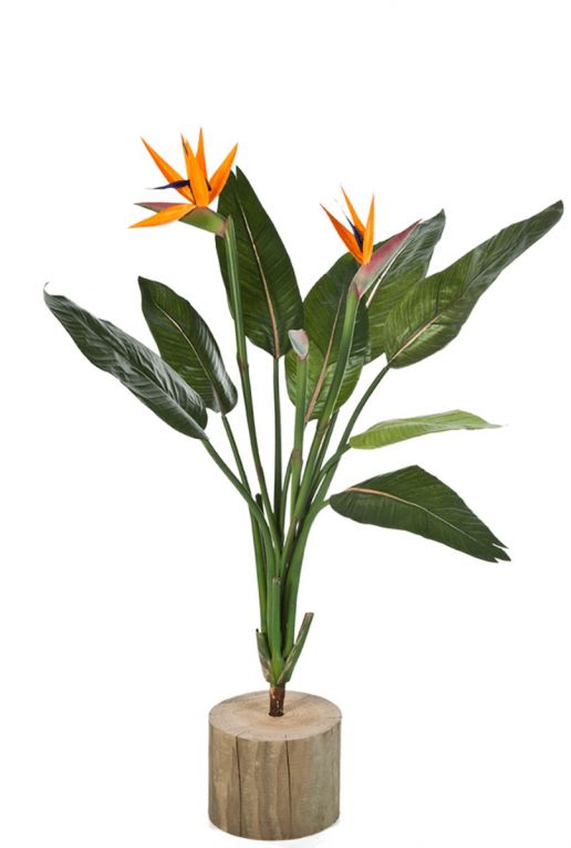 Strelitzia kunstplant met bloemen