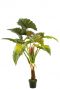 Colocasia alocasia kunstplant