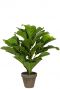 Ficus-lyrata-toef-kunstplant