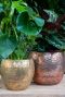 Pots-de-fleurs-en-metal-thomas-or-et-bronze 2