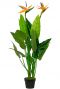Strelitzia-reginae-kunstplant-met-bloemen