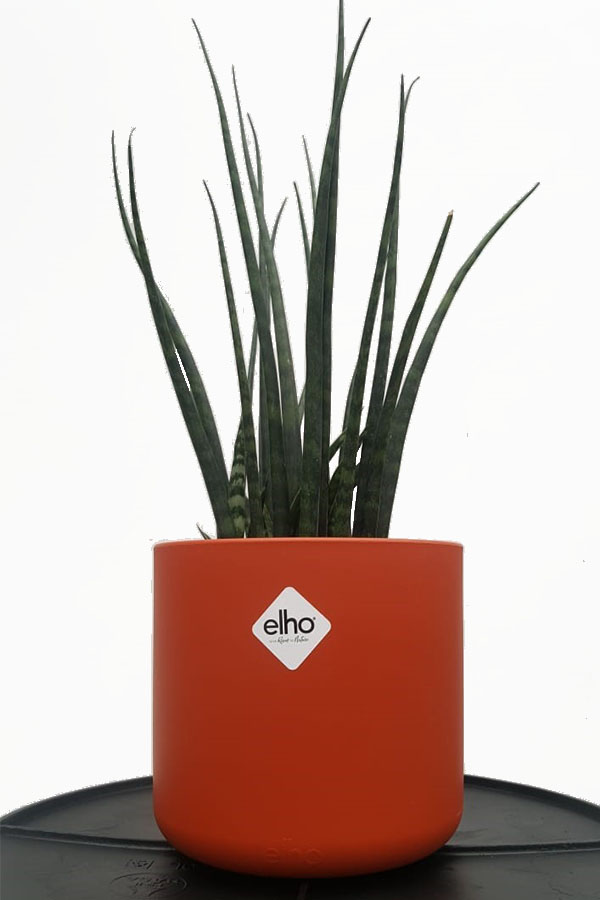Acheter des pots de fleurs Elho en ligne